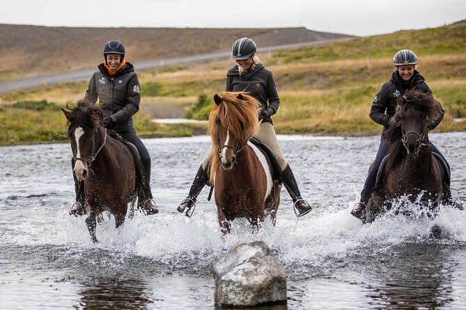 Family Friendly Horse Riding Tour in Skagafjörður - The Experience in Detail: Why It’s Worth Considering