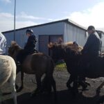 Family Horse Riding Tour in Thorlakshofn - Who Should Consider This Tour?