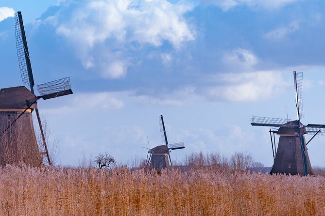 Famous Holland Tour: visit The Hague, Delft, Rotterdam and Kinderdijk from A'dam - Practicalities and What to Expect
