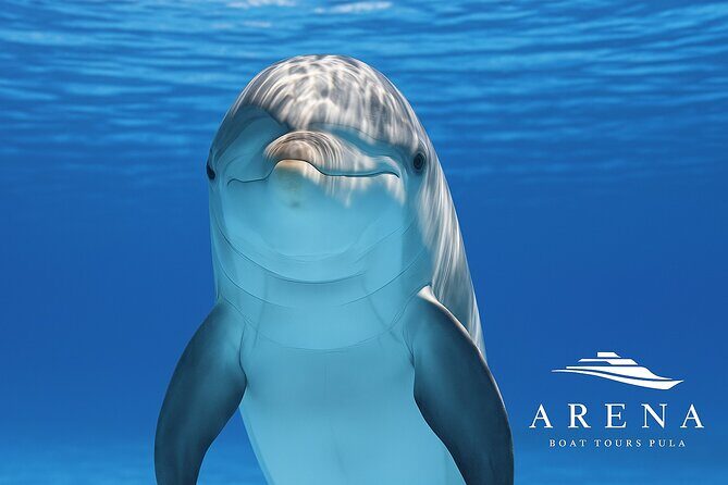 Fantastic DOLPHIN & SUNSET TOUR with dinner (Pula - NP BRIJUNI) - The Value of This Experience