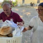 FARM STAY EXPERIENCE & DOZZA - Private Day Tour From Bologna - Who Will Love This Tour?