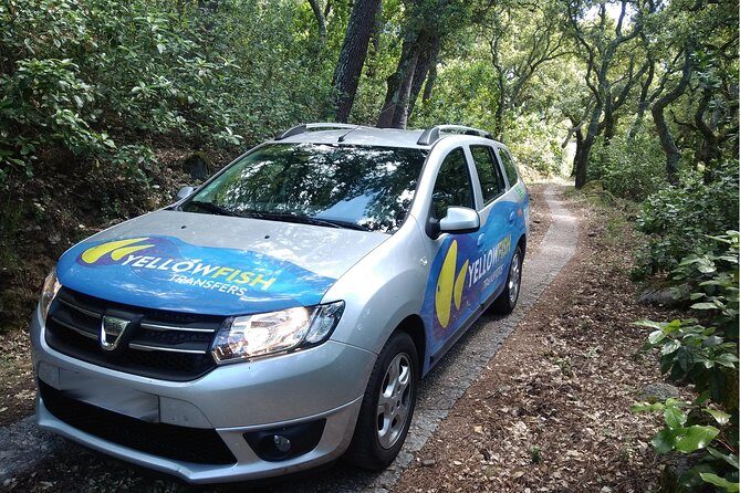 Faro airport - Albufeira: Private Return Transfer - The experience at Faro Airport