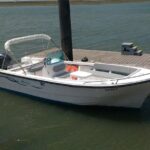 Faro - Ria Formosa tour with visit to 2 islands (Deserta, Farol) 3.5 hours - What We Love (and What to Watch Out For)