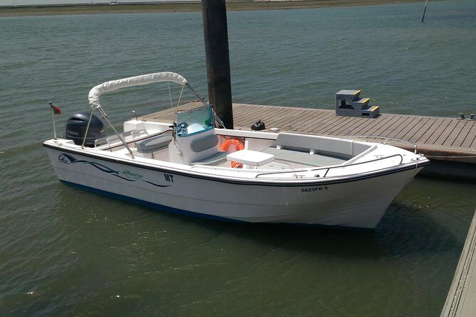 Faro - Ria Formosa tour with visit to 2 islands (Deserta, Farol) 3.5 hours - What We Love (and What to Watch Out For)