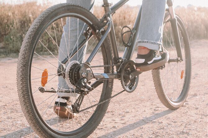 Fat Bikes, e-bikes & Bikes in Ferragudo - What the Reviews Say: Authentic Experiences