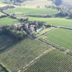 Felsina Culinaria - Personalised Private Cooking Course - Who Will Love This Experience?