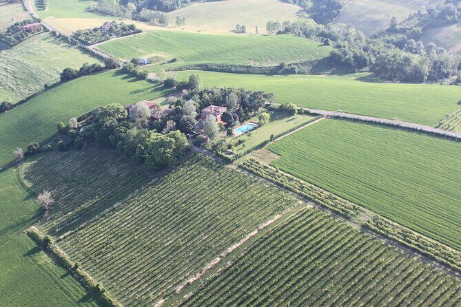 Felsina Culinaria - Personalised Private Cooking Course - Who Will Love This Experience?