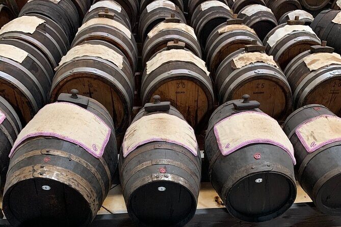 Ferrari, Parmesan and Balsamic Day Tour from Bologna - Who Is This Tour Best For?