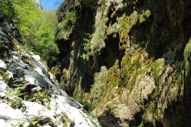 Ferriere waterfalls hike - Amalfi and Ravello Coast - The Value of a Guided Small-Group Hike