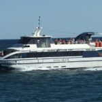 Ferry from Cambrils to Salou round trip - Balancing the Reviews: Pros and Cons