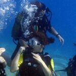 Fethiye Scuba Diving Experience By A Local Expert - The Marine Life and Scenery