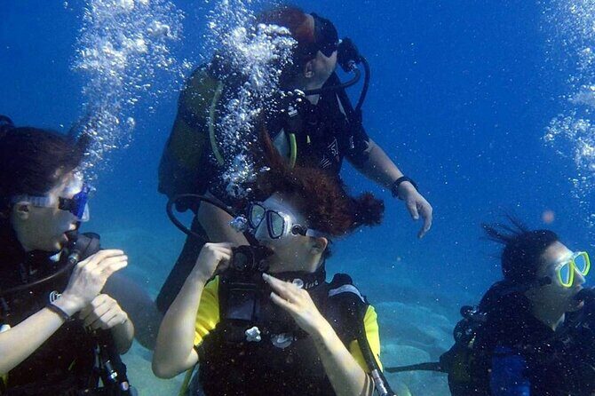 Fethiye Scuba Diving Experience By A Local Expert - The Marine Life and Scenery