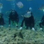 First Time Scuba Dive Adventure, Makronissos, Ayia Napa - Who Would Love This?