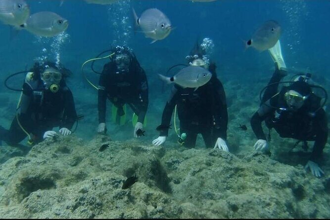 First Time Scuba Dive Adventure, Makronissos, Ayia Napa - Who Would Love This?