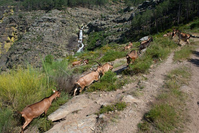 Fisgas de Ermelo Trail - Who Should Pick This Tour?