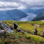 Fjord Hiking - Public tour - What’s Included? How Does the Value Add Up?