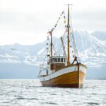 Fjord & History Cruise - FAQ
