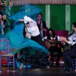 Flamenco Show and Tapas Dinner - What Are the Downsides?