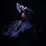 Flamenco Show at the Tablao Flamenco la Carmela - Final Thoughts: Who is This Tour Best For?