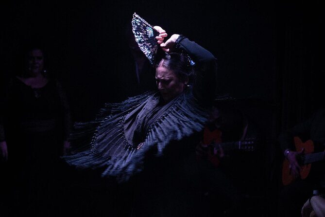 Flamenco Show at the Tablao Flamenco la Carmela - Final Thoughts: Who is This Tour Best For?