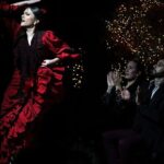 Flamenco Show at Torres Bermejas in Madrid - Who Will Enjoy This Experience?