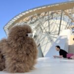 Fondation Louis Vuitton: Ticket Entry & Private Tour - Practical Details: What to Know Before Booking