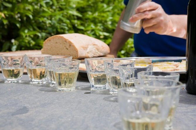 Food and Wine Small Group Tour from Barcelona - Maximum 8 people - What Travelers Say