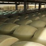 Food Excellences:Prosciutto, Parmigiano, Balsamic,Lunch,Transport - FAQ