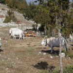 Footprints on the Battlefield Trails of Monte Cassino - What’s Included and What’s Not