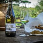 Frascati Wine Tasting Tour: The Flavors of the Roman Countryside - What the Reviews Say