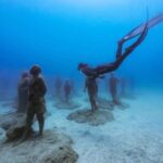 Freediving at Museum Atlantico - Practical Details & Considerations