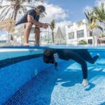 Freediving Training - The Option to Try Free Spearfishing