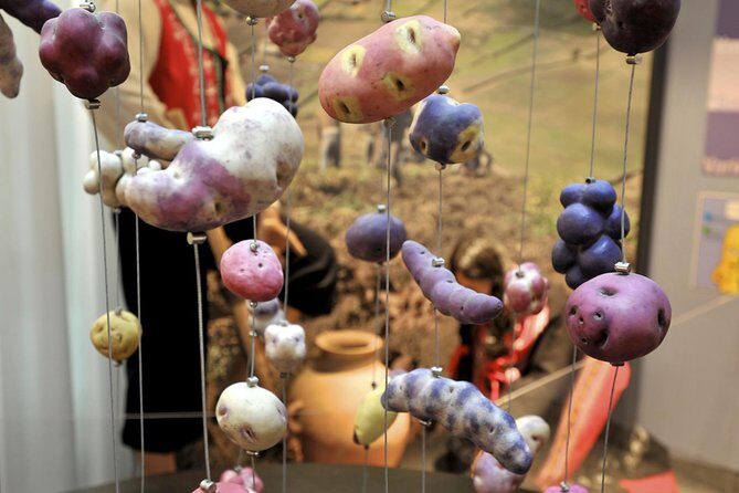 Frietmuseum Entrance Ticket - The Realities of Visiting