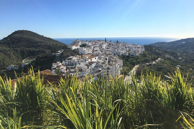 Frigiliana Small-Group Hike and Wine Tasting Tour from Malaga - Who Is This Tour Best For?