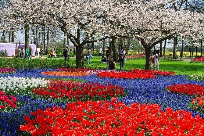 From Amsterdam: Keukenhof Gardens Ticket and Transfer - Meeting Point and Logistics
