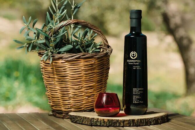 From Athens: Olive Oil Tasting, Olive Grove & Wine Experience - What You Can Expect From This Tour