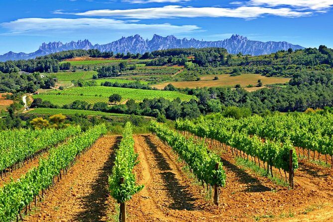From Barcelona: El Penedès Hike & Wines - Who Is This Tour Best For?