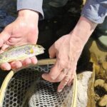 From Catania, Syracuse and Taormina: fly fishing experience - FAQ