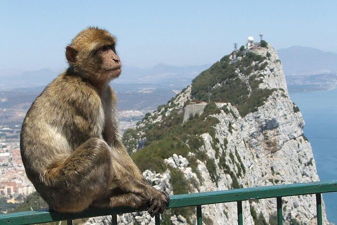 From Costa del Sol: The Gibraltar classic Rock tour - The Journey Begins: Pickup and Travel