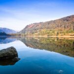 From Dublin: Wicklow, Glendalough, Waterfall & Sheepdog demo - Pros and Cons Based on Real Reviews