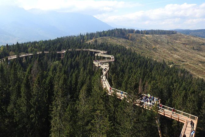 From Kraków: Slovakia Treetop Walk Bachledka and Zakopane - Who Would Love This Tour?