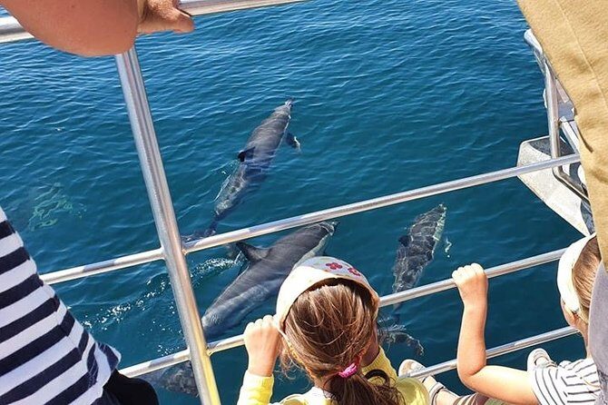 From Lagos: Dolphin Watching Cruise on a Catamaran - FAQs
