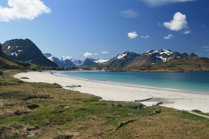 From Leknes port: Special Summer Guided Tour of Lofoten - Who Should Consider This Tour?