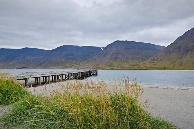 From Reykjavík: 3-Day Tour of the Wild and Wonderful Westfjords - What We Loved About This Tour