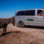 From Stintino: minivan tour of Asinara - Who Is This Tour Best For?