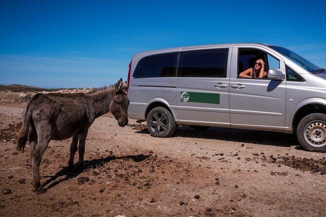 From Stintino: minivan tour of Asinara - Who Is This Tour Best For?