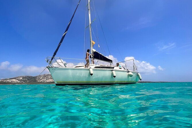 From Stintino: sailboat tour to Asinara - What to Expect from the Stintino to Asinara Sailing Tour