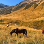 From Tbilisi: Kazbegi Ananuri Gudauri and Trusso Valley by 4x4 - Final Thoughts