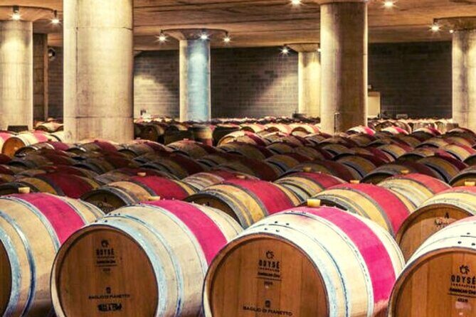 From the Vineyards to the Chalice: A Unique Tasting Experience - The Practicalities: Is It Worth It?