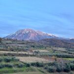 From Tirana: Berat UNESCO Site,Onufri Museum and Belshi Lake Tour - Is This Tour Right for You?